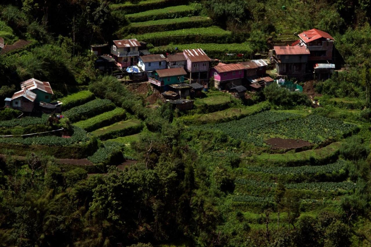 Yashita Homestay Darjeeling  Ngoại thất bức ảnh