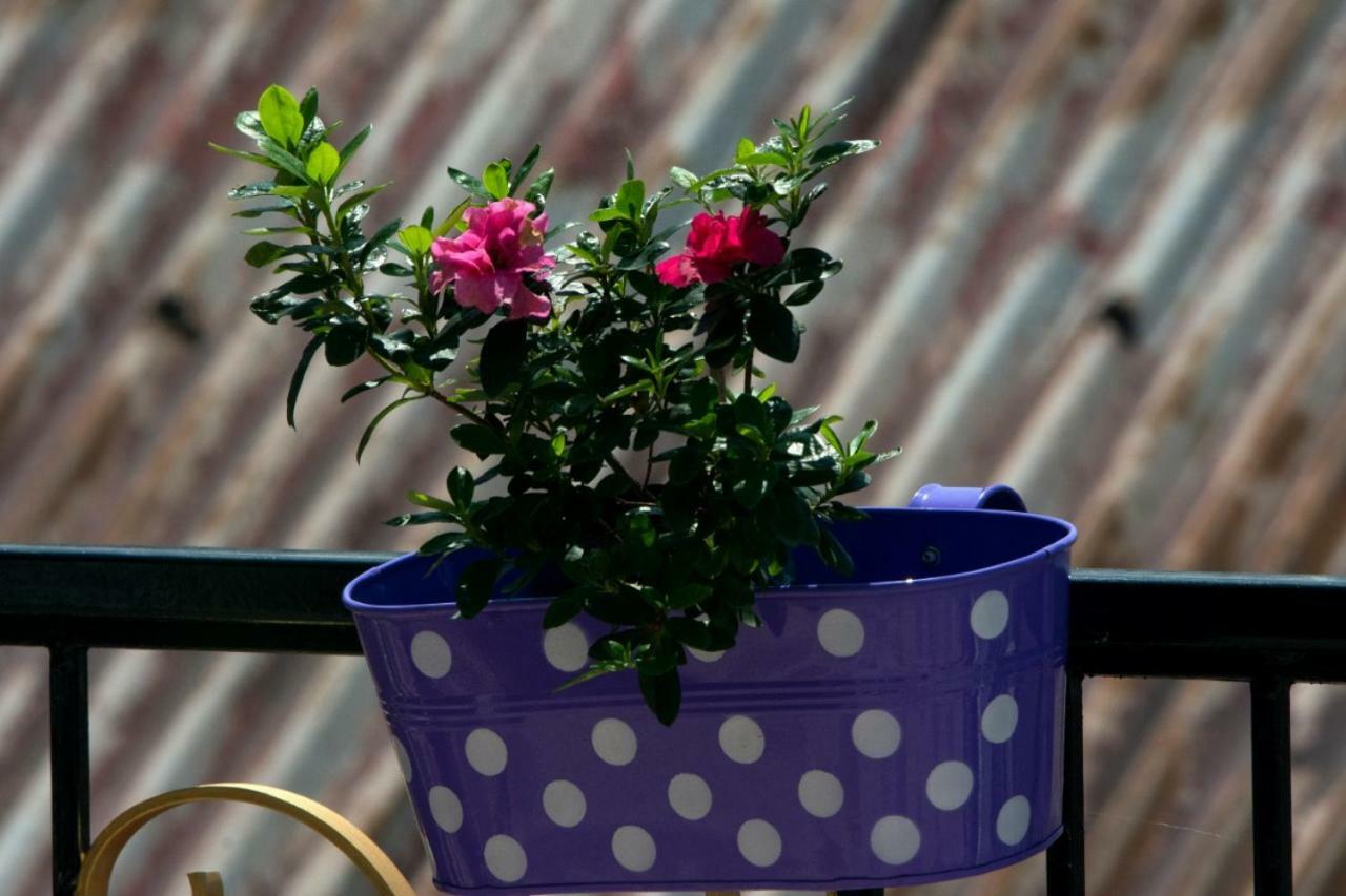 Yashita Homestay Darjeeling  Ngoại thất bức ảnh